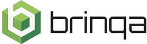 wordpress-sync/Logo-Brinqa