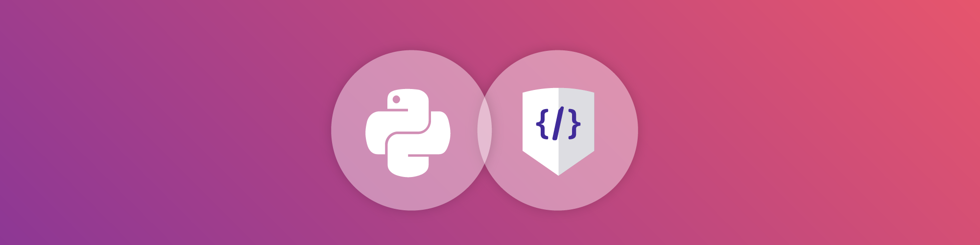 Snyk Code supports Python