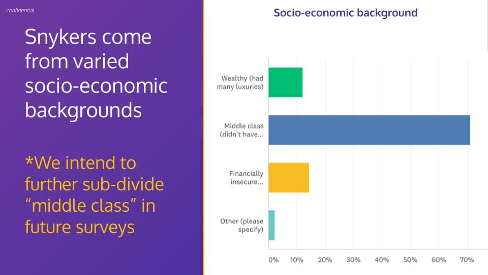 wordpress-sync/blog-diversity-socio-economic-snyk