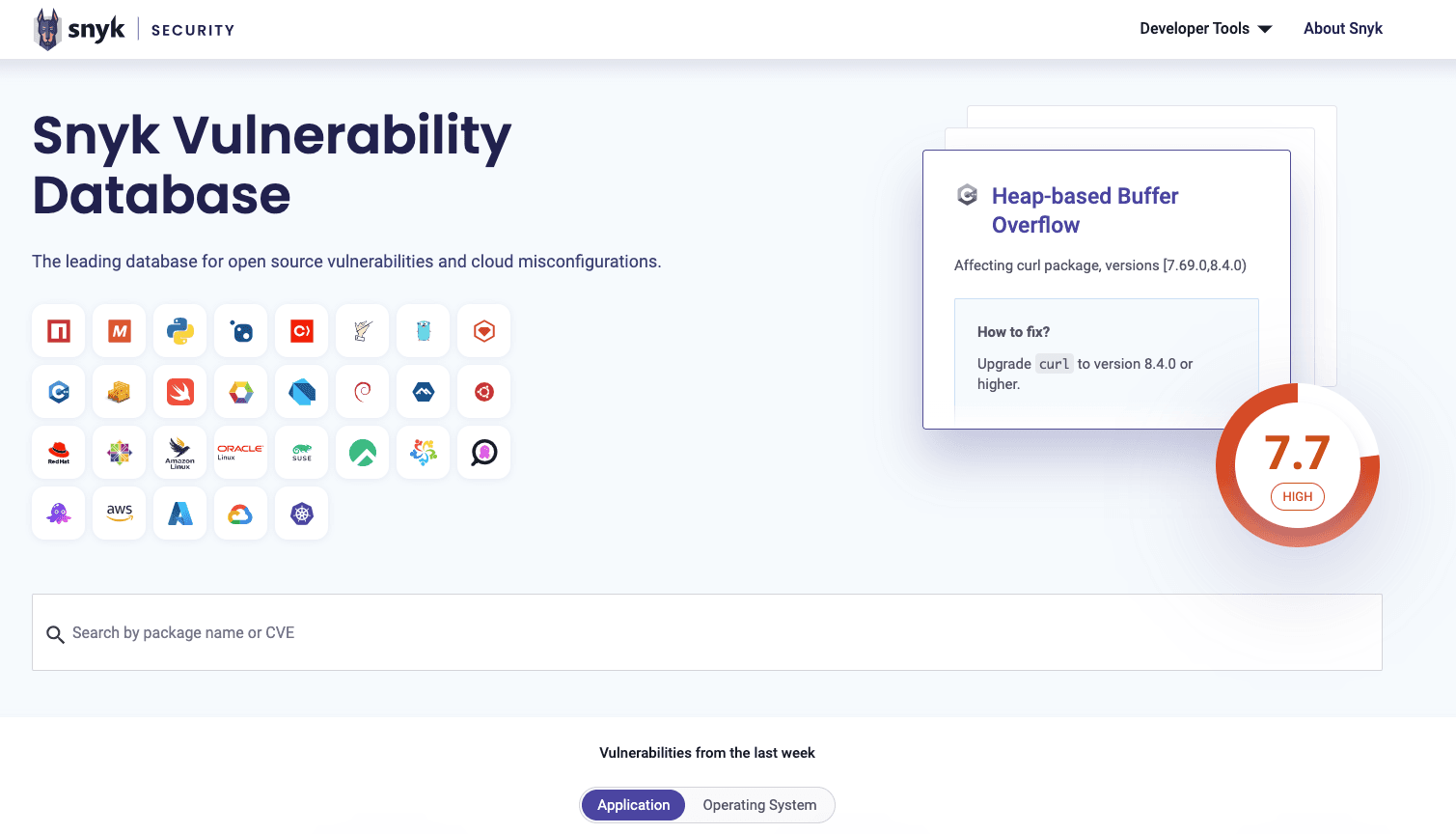 screenshot of the vulnerability database homepage